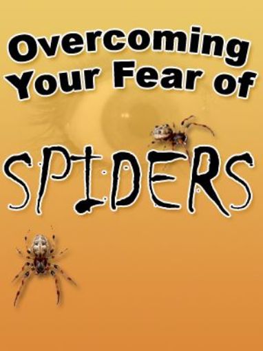 Picture of Overcoming Your Fears Of Spider