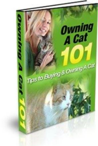 Picture of Owning A Cat