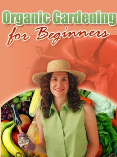 Picture of Organic Gardening For Beginners 