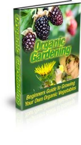 Picture of Organic-Vegetable-Gardening