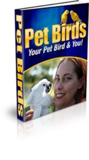 Picture of Pet Birds : Your Pet Bird And You