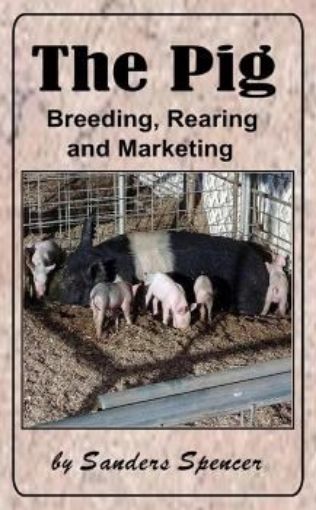 Picture of The Pig : Breeding, Rearing And Marketing