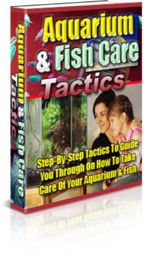 Picture of Aquarium And Fish Care Tactics