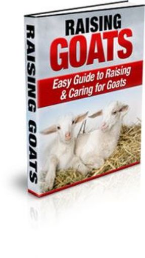 Picture of Raising Goats