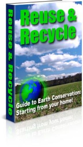 Picture of Reuse And Recycle 