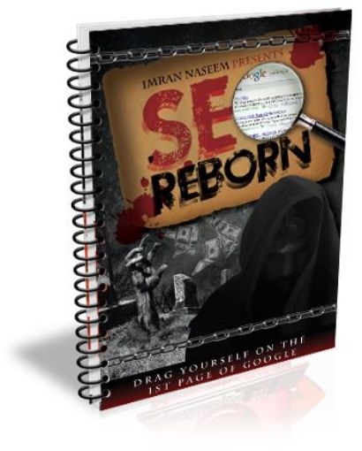 Picture of SEO Reborn