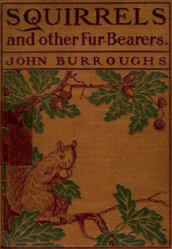 Picture of Squirrel And Other Fur-Bearers 