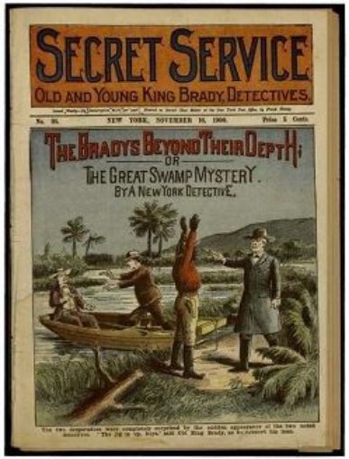 Picture of Swamp Mystery