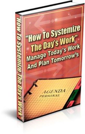 Picture of How To Systematize 