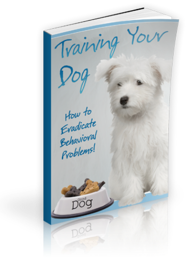 Picture of Training Your Dog