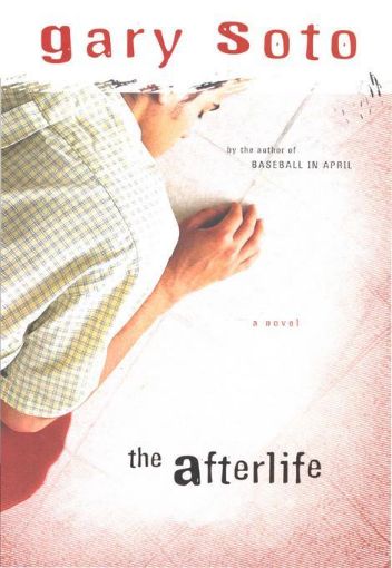 Picture of The Afterlife