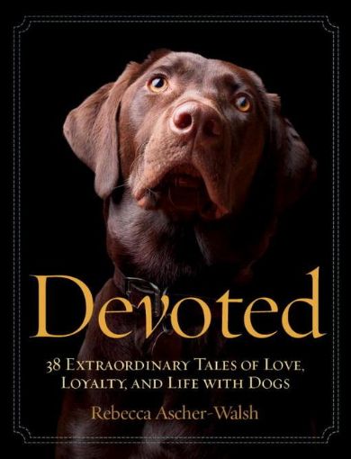 Picture of Devoted: 38 Extraordinary Tales of Love, Loyalty, and Life With Dogs