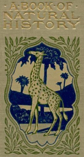 Picture of A Book Of Natural History