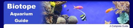 Picture of Biotope Aquariums Guide