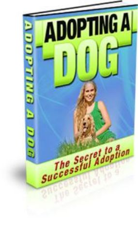 Picture of Adopting A Dog!