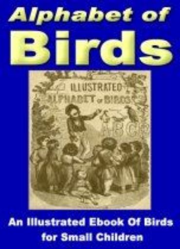 Picture of The Alphabet of Birds!
