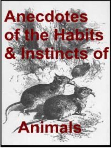 Picture of Anecdotes Of The Habits And Instincts Of Animals
