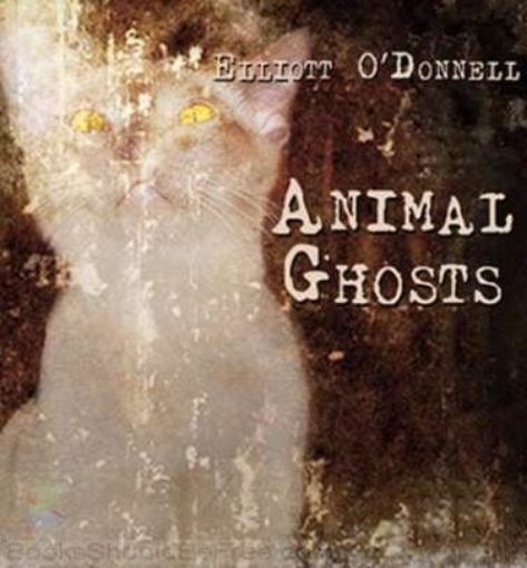 Picture of Animal Ghosts
