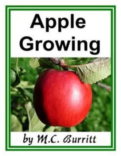 Picture of Apple Growing