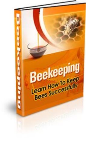 Picture of Beekeeper