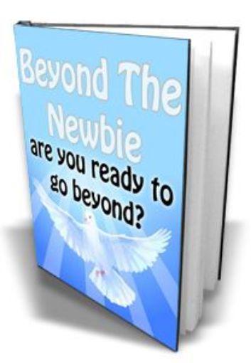 Picture of Beyond The Newbie