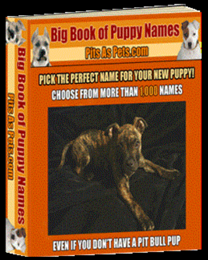 Picture of BIG Book of Puppy Names