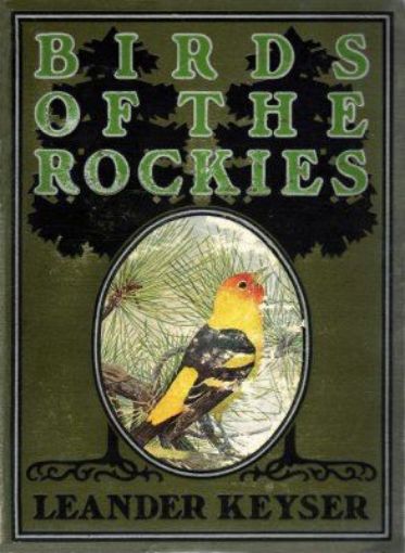 Picture of Birds Of The Rockies