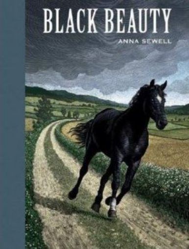 Picture of Black Beauty