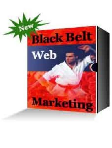 Picture of Black Belt Web Marketing