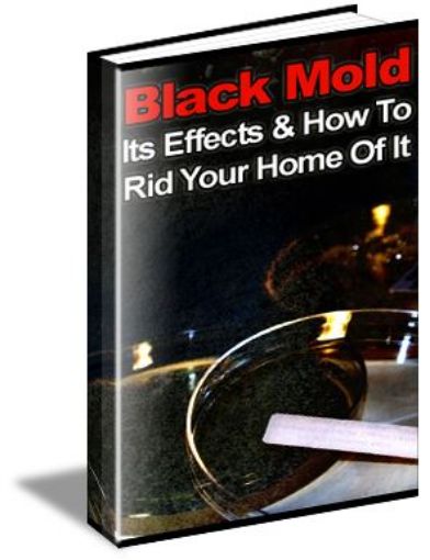 Picture of Black Mold Its Effects And How To Rid Your Home Of It