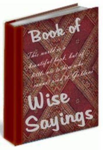 Picture of Book Of Wise Sayings