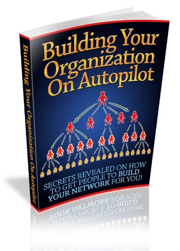 Picture of Build Your Organisation On Autopilot