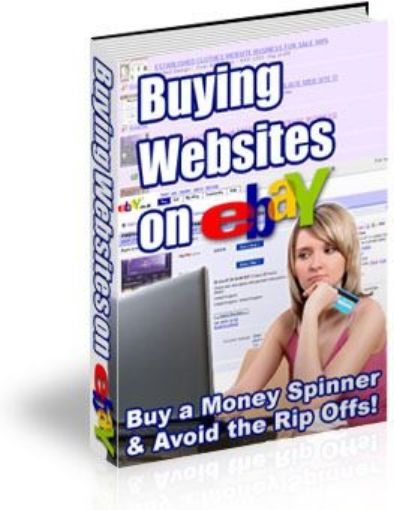 Picture of Buying Websites On Ebay