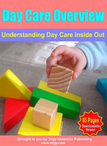 Picture of Day Care Overview