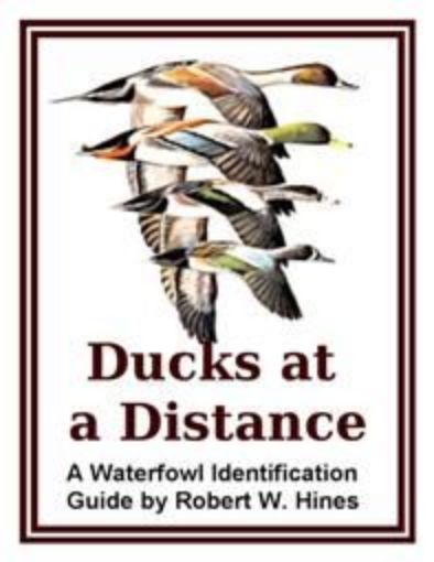Picture of Ducks AT a Distance 