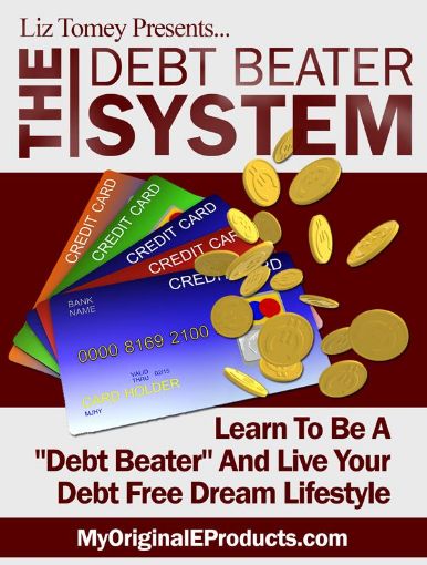 Picture of The Debt Beater System