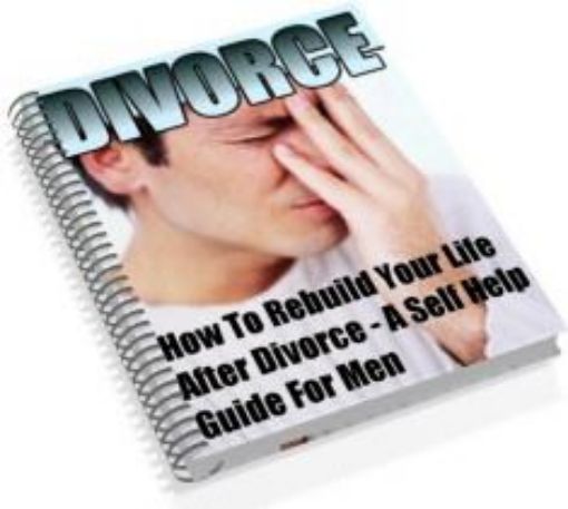 Picture of A Man'S Guide To Survive Divorce