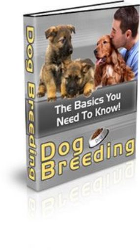 Picture of Dog Breeding