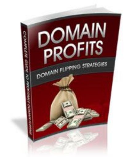 Picture of Domain Profits