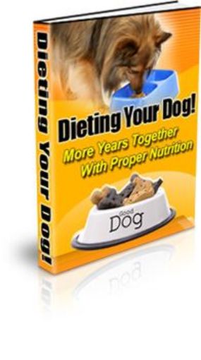 Picture of Dieting Your Dog