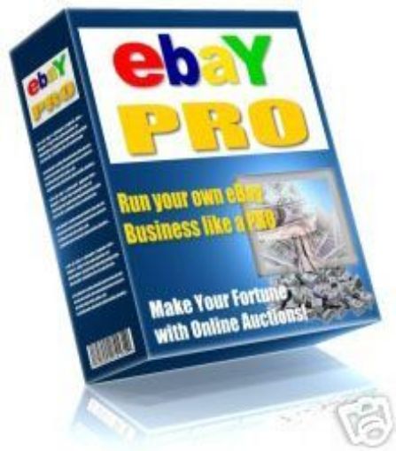 Picture of Ebay Pro 