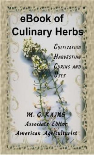 Picture of Culinary Herbs 