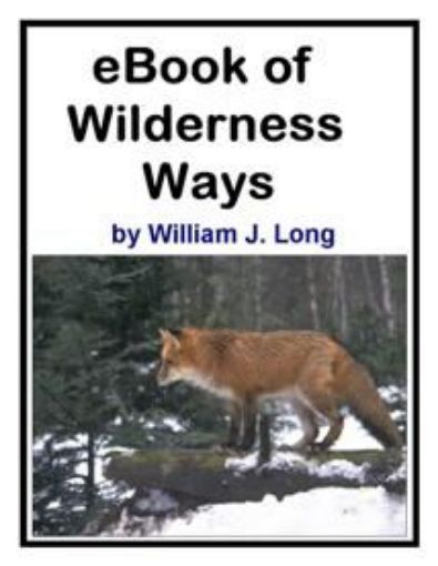 Picture of Wilderness Ways
