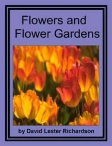 Picture of Flowers And Flowers Garden 