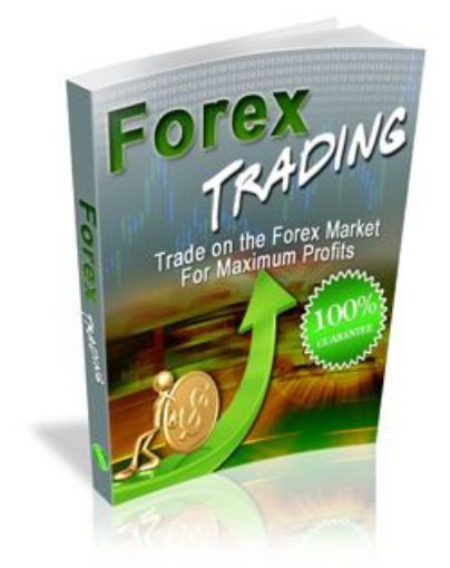 Picture of Forest Trading 