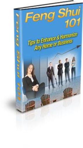 Picture of Feng Shui  101 