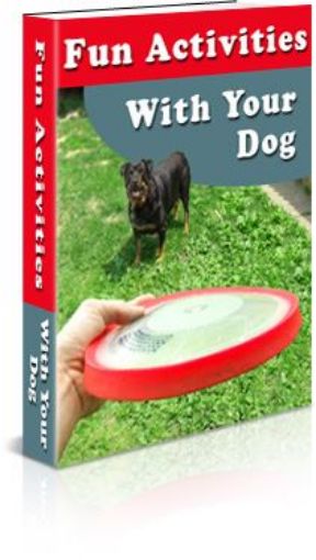 Picture of Fun Activities For Your Dog