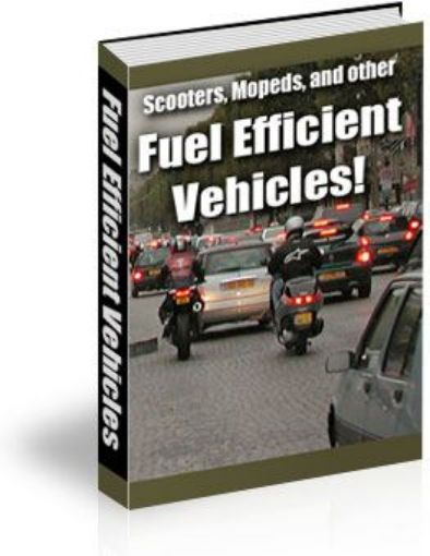 Picture of Fuel Efficient Vehicle 