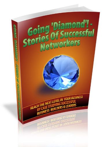 Picture of Stories Of Successful Net-workers 