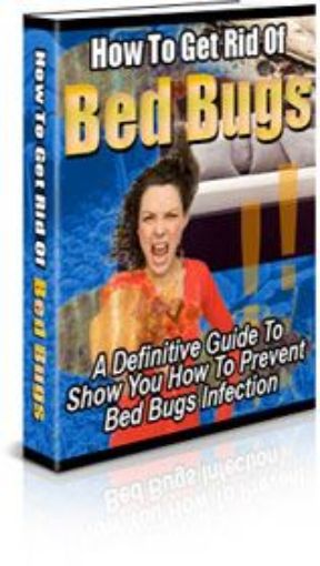 Picture of How To Get Ride Of Bed Bugs 